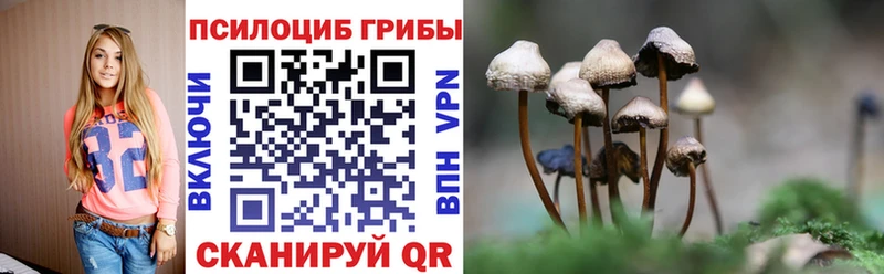 наркошоп Сегежа Псилоцибиновые грибы Psilocybe